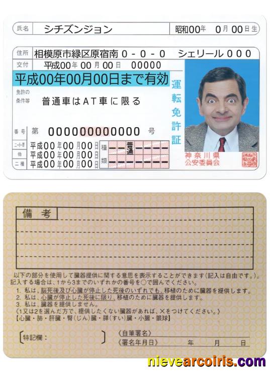 Japan driving license version 2